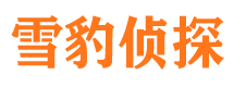 日土侦探公司